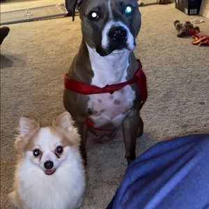 Meet your Posher, Edward